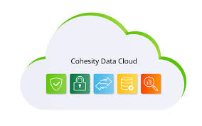 Solution de sauvegarde Cohesity Data Cloud pour la protection des données professionnelles